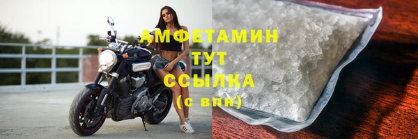 PSILOCYBIN Михайлов