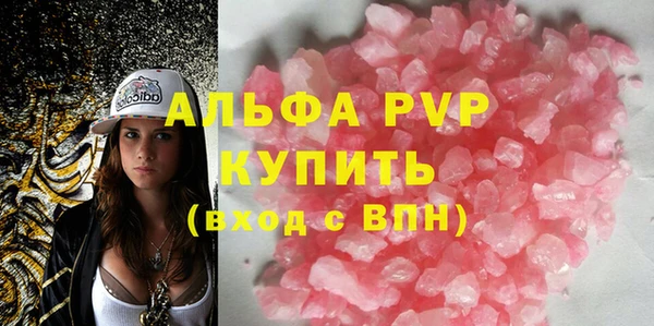PSILOCYBIN Михайлов